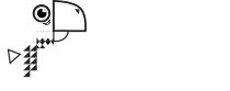 Papagayo Software